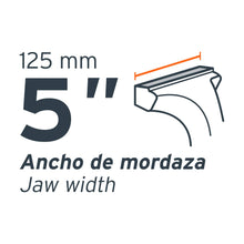 Cargar imagen en el visor de la galería, TORNILLO DE BANCO 5'' USO INDUSTRIAL DE HIERRO NODULAR 18593 N