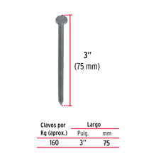 Cargar imagen en el visor de la galería, BOLSA 100G DE CLAVO STANDARD 3'' CON CABEZA, FIERO 45023-1 N
