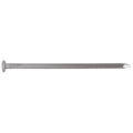 BOLSA 100G DE CLAVO STANDARD 4'' CON CABEZA, FIERO 45025-1 N
