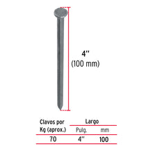 Cargar imagen en el visor de la galería, BOLSA 100G DE CLAVO STANDARD 4'' CON CABEZA, FIERO 45025-1 N
