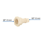 ADAPTADOR INSERCION ROSCA INTERIOR DE 1/2'' X 1/2'', FOSET 48580 P