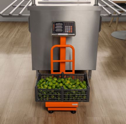 BÁSCULA CAPACIDAD 100 KG PLEGABLE DE PLATAFORMA, TRUPER 15729 *