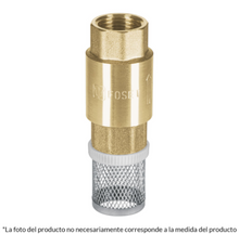Cargar imagen en el visor de la galería, PICHANCHA CON REJILLA ACERO INOXIDABLE 1&#39;&#39;, FOSET
