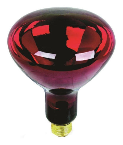 FOCO MEDICINAL INFRAROJO 250W