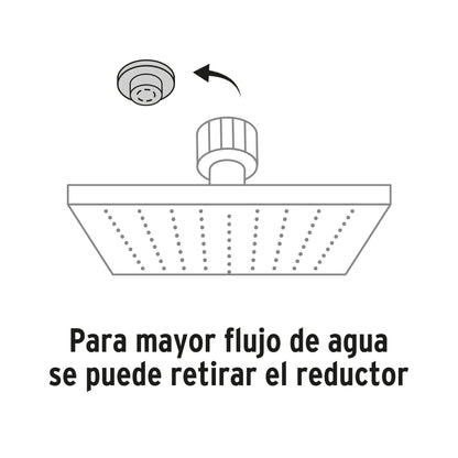 REGADERA ACERO INOXIDABLE, 8', CON BRAZO, SATINADO, RIVIERA